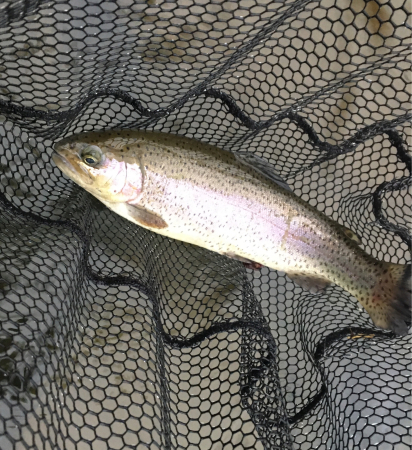 f0306678_10372761.jpg