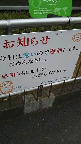 寒い中、日本平動物園に行ってきました_f0228680_09254508.jpg