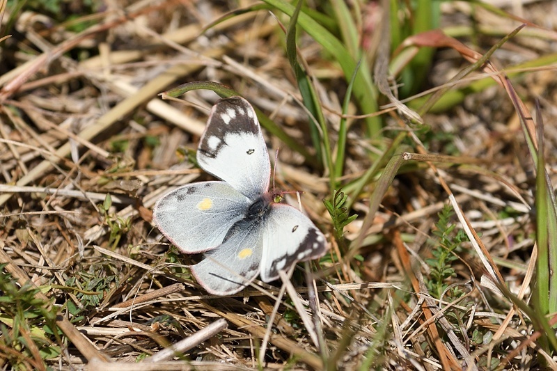 f0031682_14395394.jpg