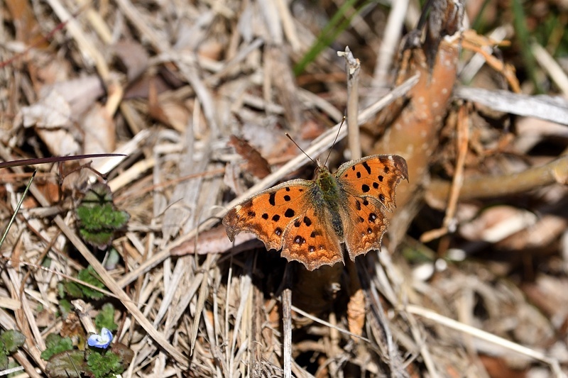 f0031682_14400891.jpg