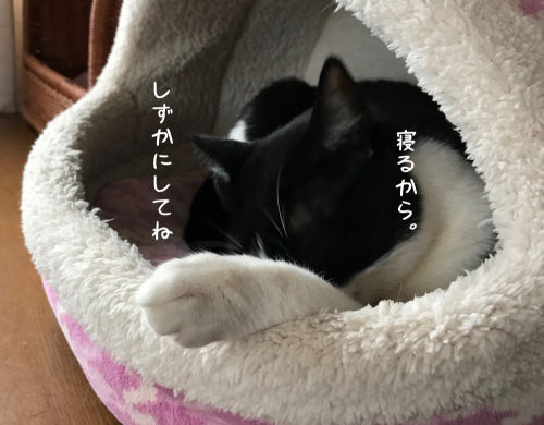 a0216583_10201842.png