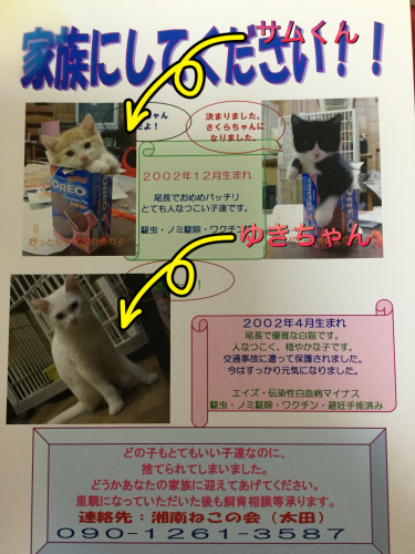 d0179994_23595358.jpeg