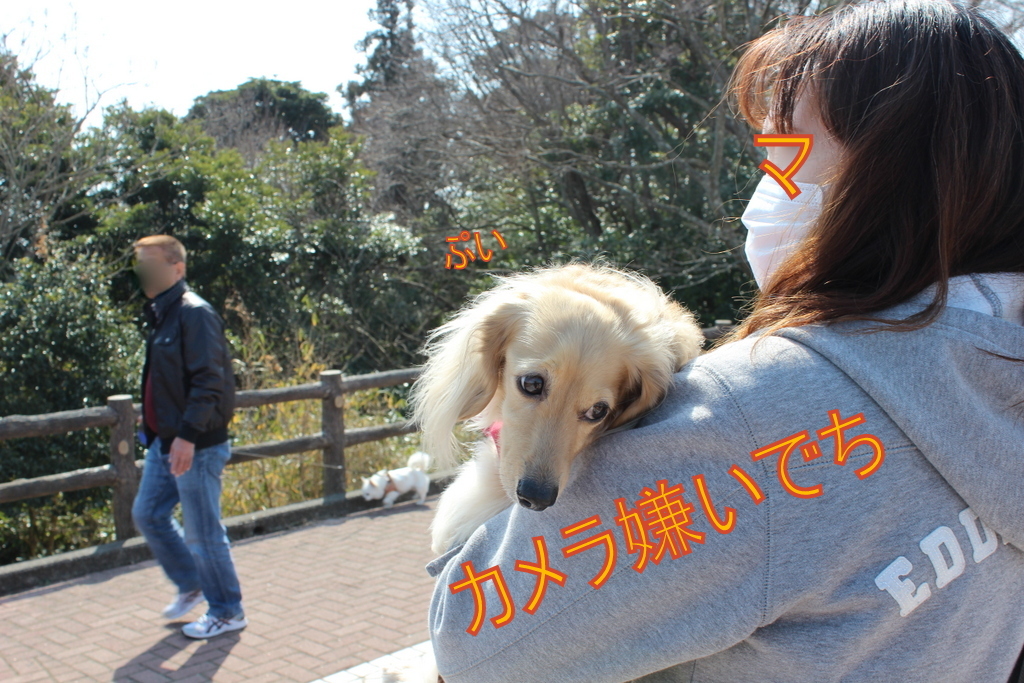 焼津よいとこ何度もおいで♪ 車中泊の旅③_f0224506_19350524.jpg