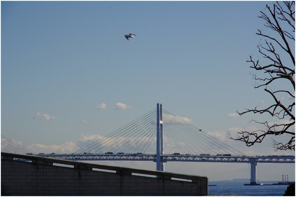 君と見た風景_c0352813_10080607.jpg