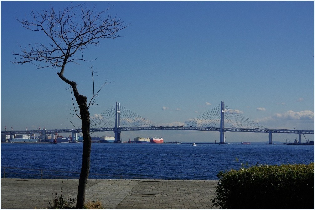 君と見た風景_c0352813_10082564.jpg