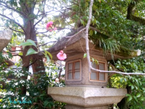 f0205317_05015537.jpg