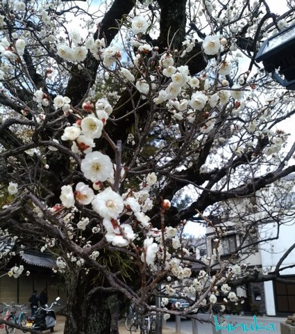 f0205317_08051012.jpg