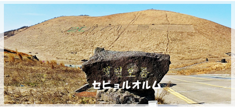 a0115924_21264316.png