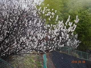 c0147935_12581491.jpg