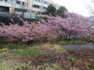 c0147935_12582271.jpg