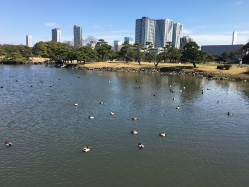 b0330040_21010097.jpeg