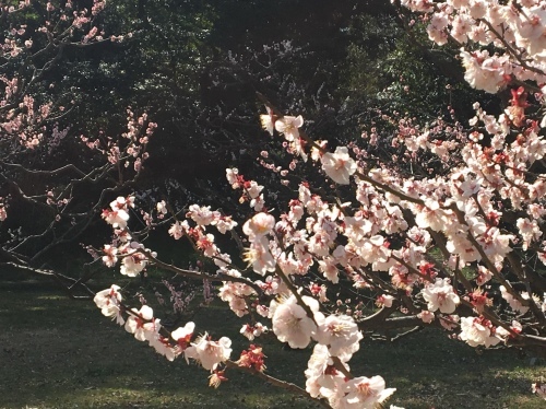 b0330040_21092015.jpeg