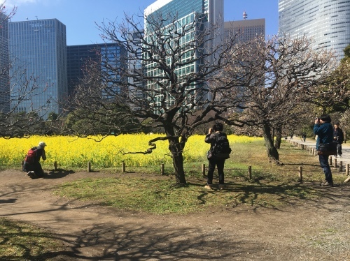 b0330040_21105353.jpeg