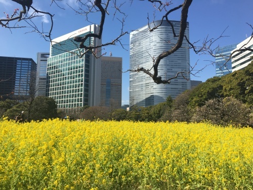 b0330040_21120531.jpeg