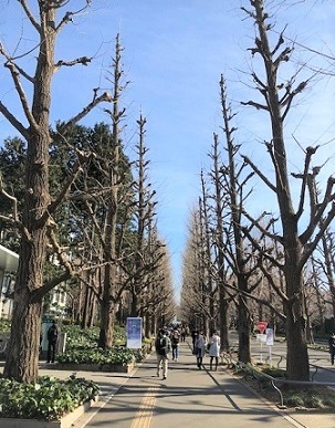 d0367842_15341760.jpg