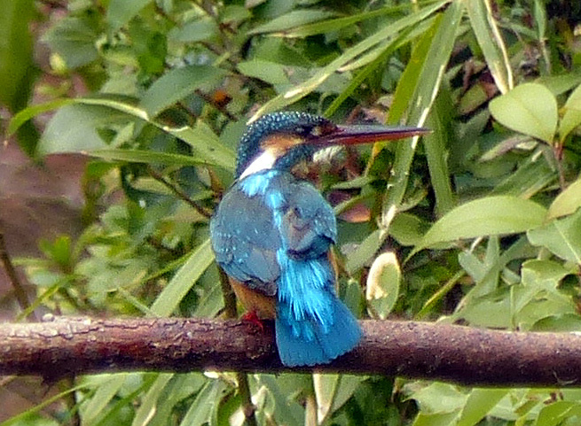 d0322448_10362075.jpg