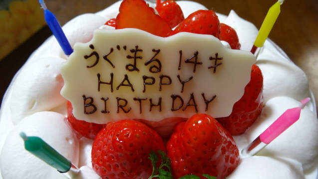 d0171959_21281133.jpg