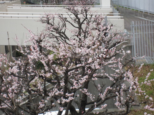 f0256164_12575027.jpg