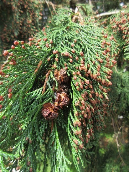 b0182884_21062598.jpg