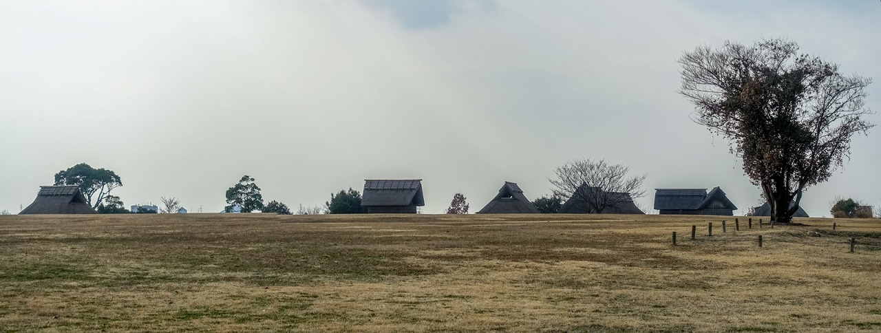 e0176993_07394885.jpg