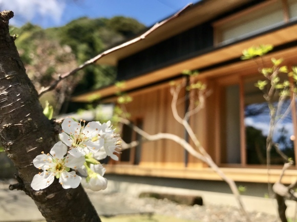 a0244794_15212251.jpeg