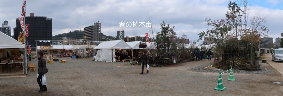 f0059498_21100320.jpg