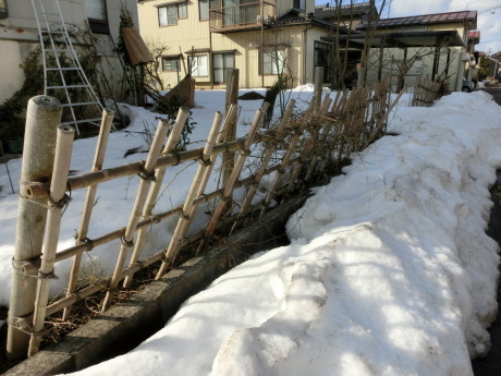 a0203003_17454550.jpg
