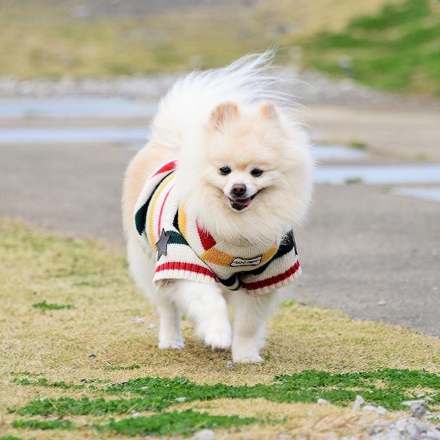 この時期はとても辛い_d0360206_03515354.jpg