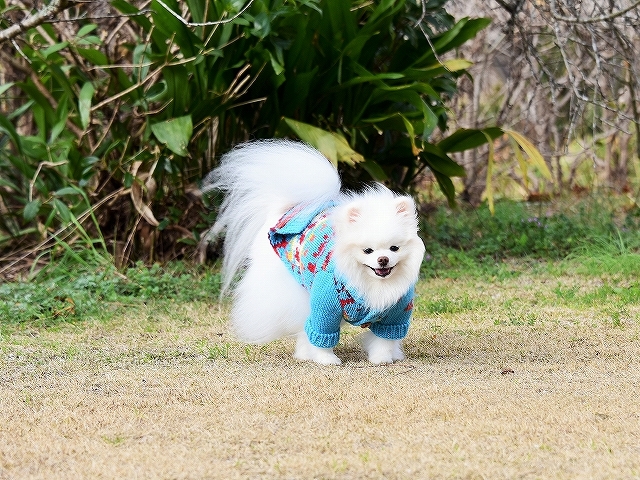 この時期はとても辛い_d0360206_03520293.jpg