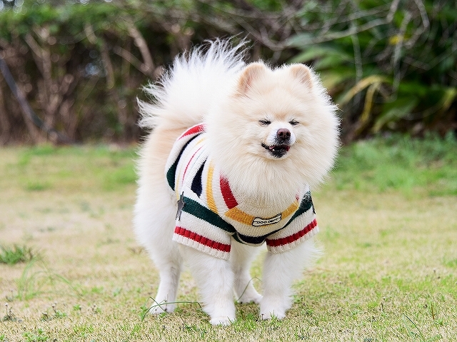 この時期はとても辛い_d0360206_03521135.jpg