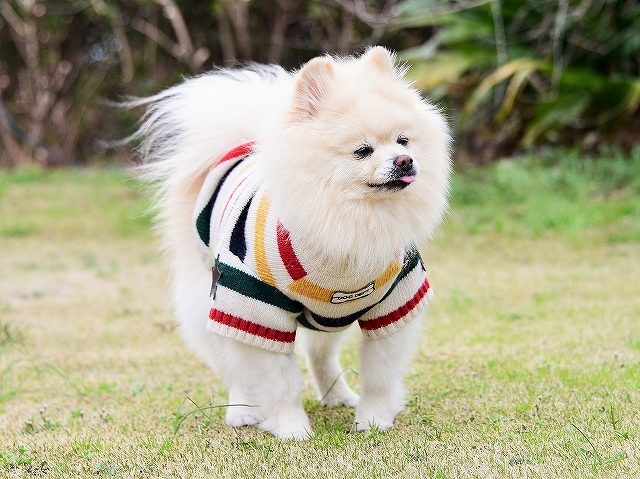 この時期はとても辛い_d0360206_03521792.jpg
