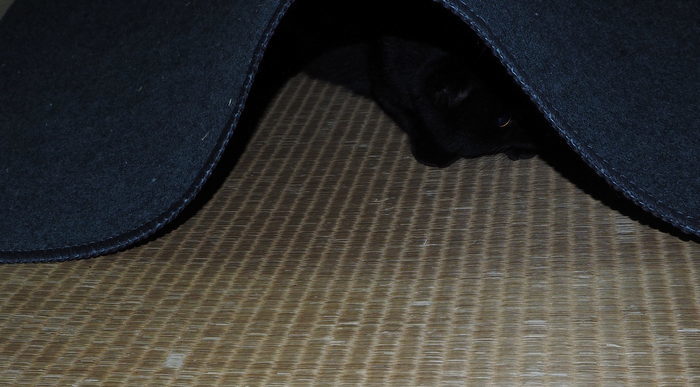 c0116915_00493480.jpg