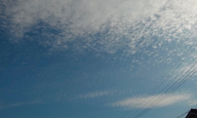 d0281040_17564878.jpg