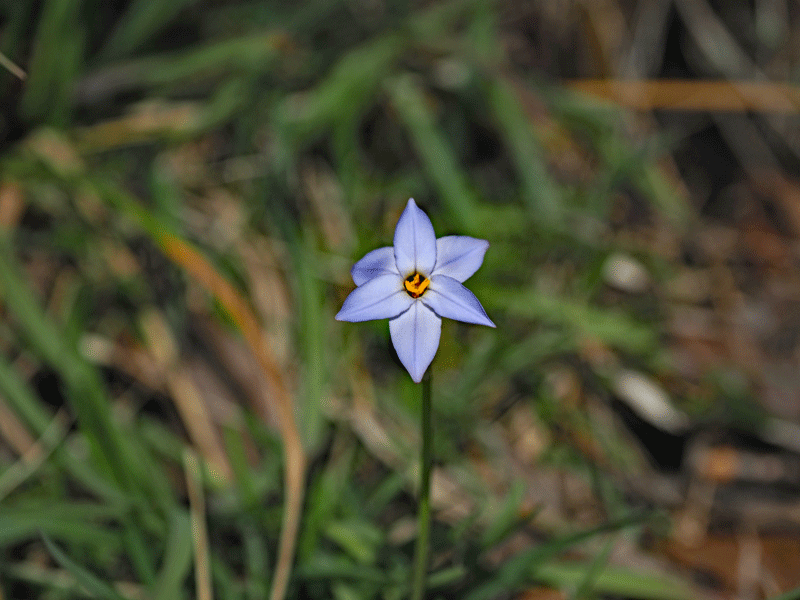 d0290240_19290095.gif