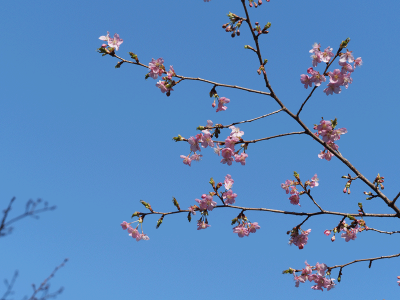 d0290240_19325398.gif