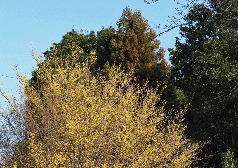 d0290240_19372920.gif