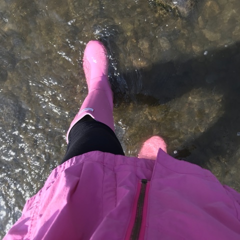 f0210546_12263259.jpeg