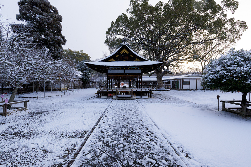 雪の京都2018　平野神社の淡雪 - 花景色－K.W.C. PhotoBlog