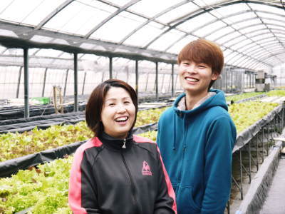 美味しいサラダ食べてますか?農薬を一切使用しない「水耕栽培の生野菜」大好評発売中!_a0254656_17353351.jpg