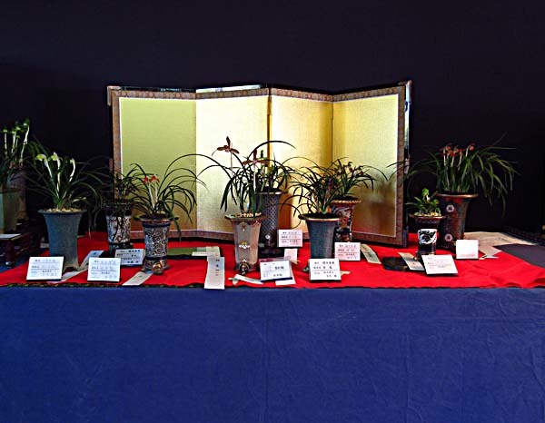 春季展　　　　　　　　　　　　　　　　　　　　　　　　　　　　No.1856_d0103457_21391567.jpg