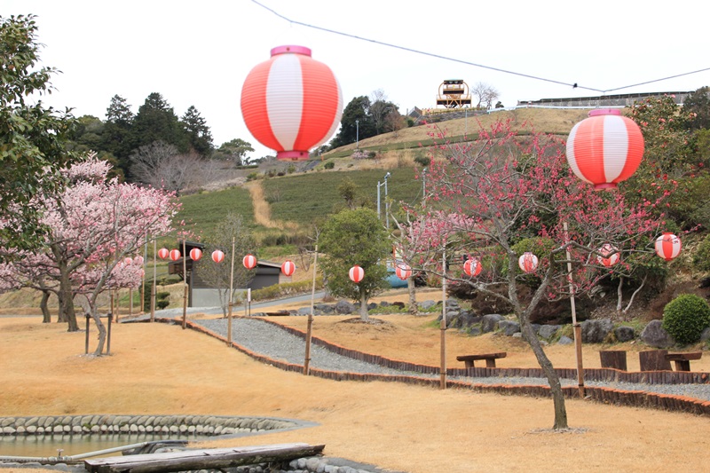 あらさわふるさと公園の桜と梅･1♪_a0167759_1625102.jpg