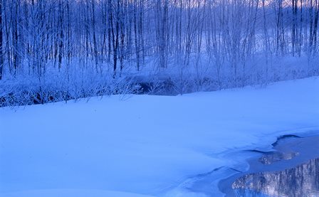 c0303868_11112899.jpg
