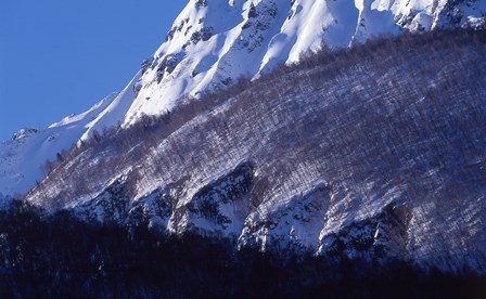 c0303868_11144367.jpg