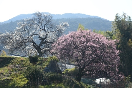 c0303868_16291368.jpg