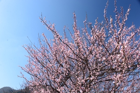 c0303868_16342344.jpg