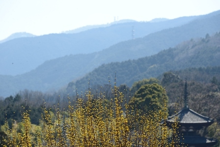 c0303868_16345136.jpg