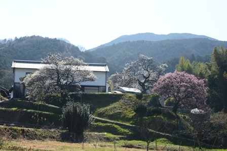c0303868_16381613.jpg