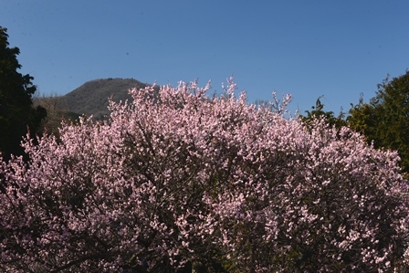 c0303868_16391127.jpg