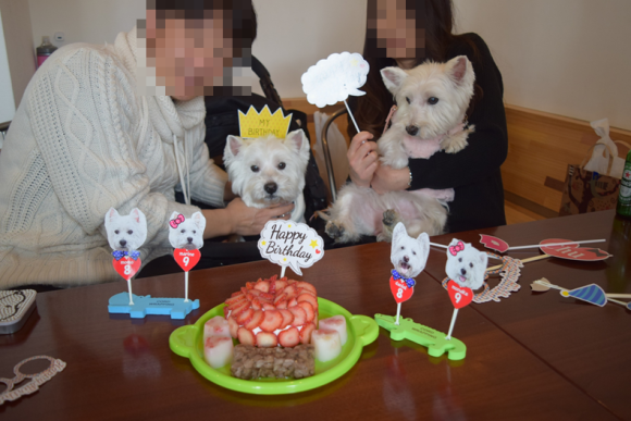 b0242873_08584527.png