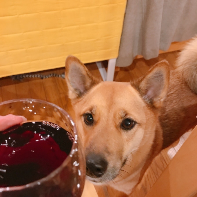 c0364176_09541959.jpeg